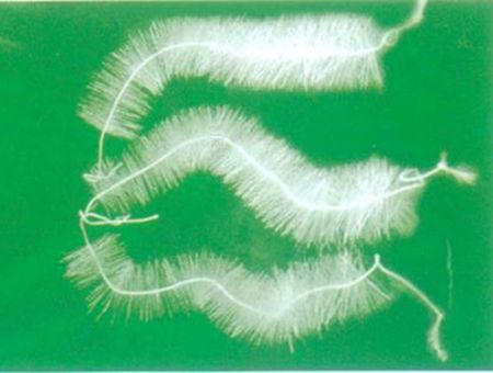 點(diǎn)擊查看詳細(xì)信息<br>標(biāo)題：TL型立體彈性填料 閱讀次數(shù)：5948